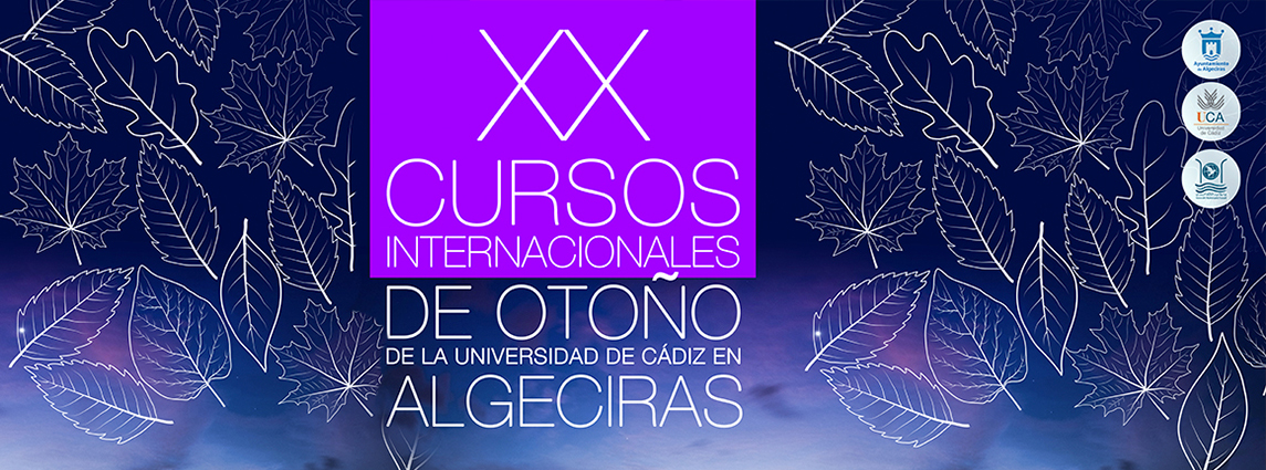 XX cursos